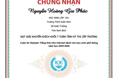 VINH DANH HỌC SINH ĐẠT GIẢI KỲ THI IOE CẤP TRƯỜNG NĂM HỌC 2025-2026